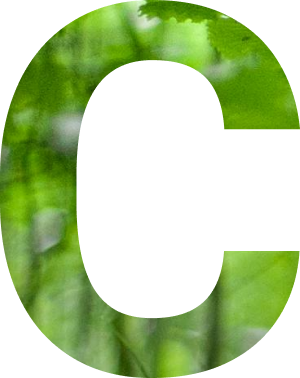 e2_img_02.png